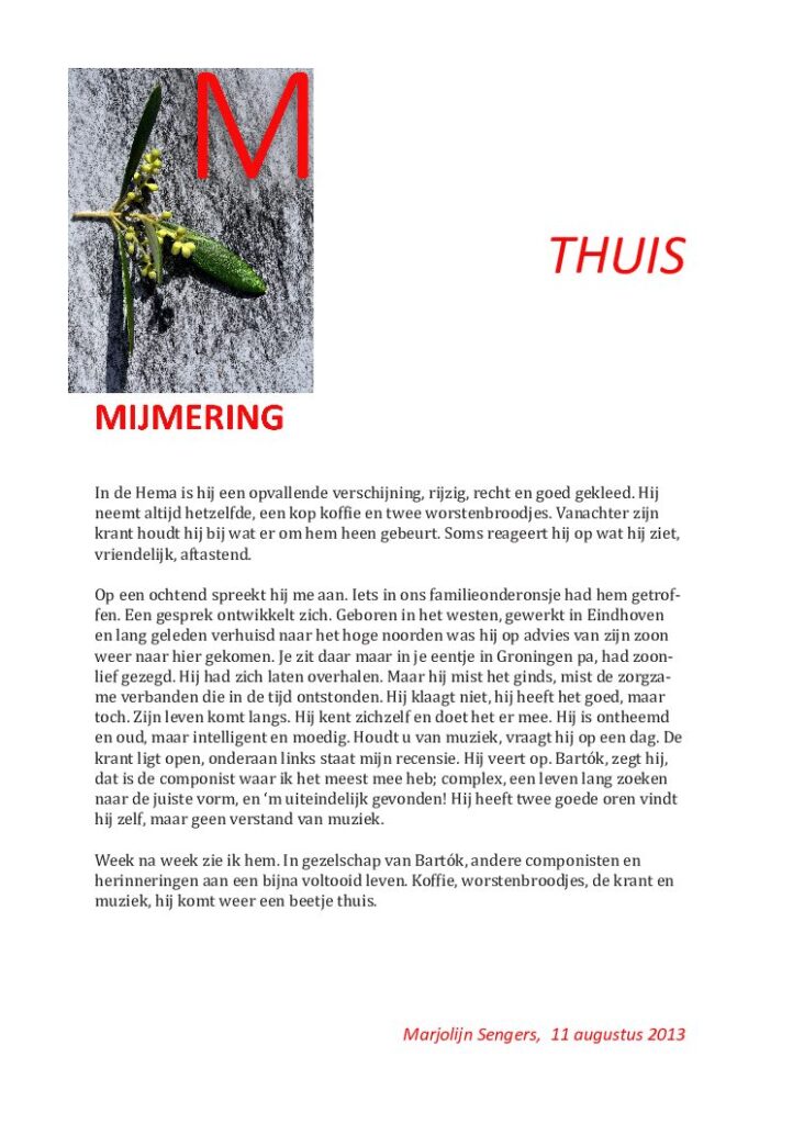 thumbnail of Mijmering 1 Thuis 1 11-08-2013