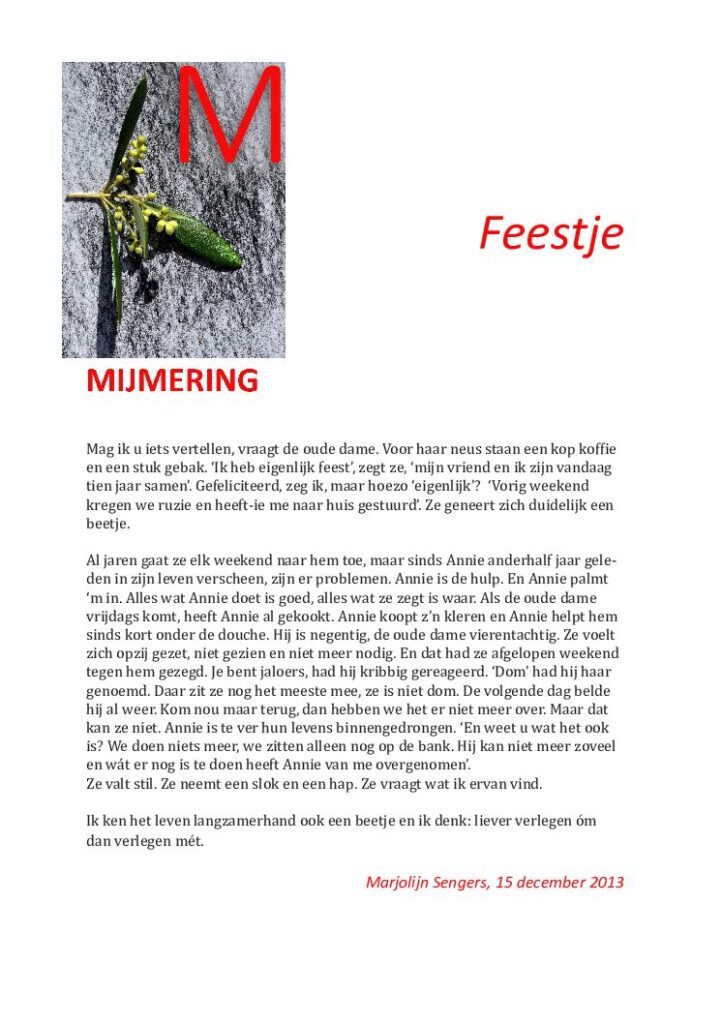 thumbnail of Mijmering 10 Feestje 15 -12-2013