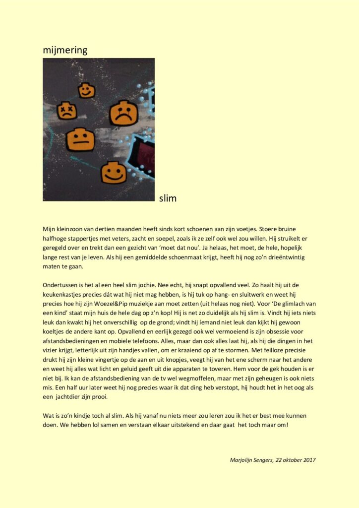 thumbnail of Mijmering 108 Slim 22-10-2017