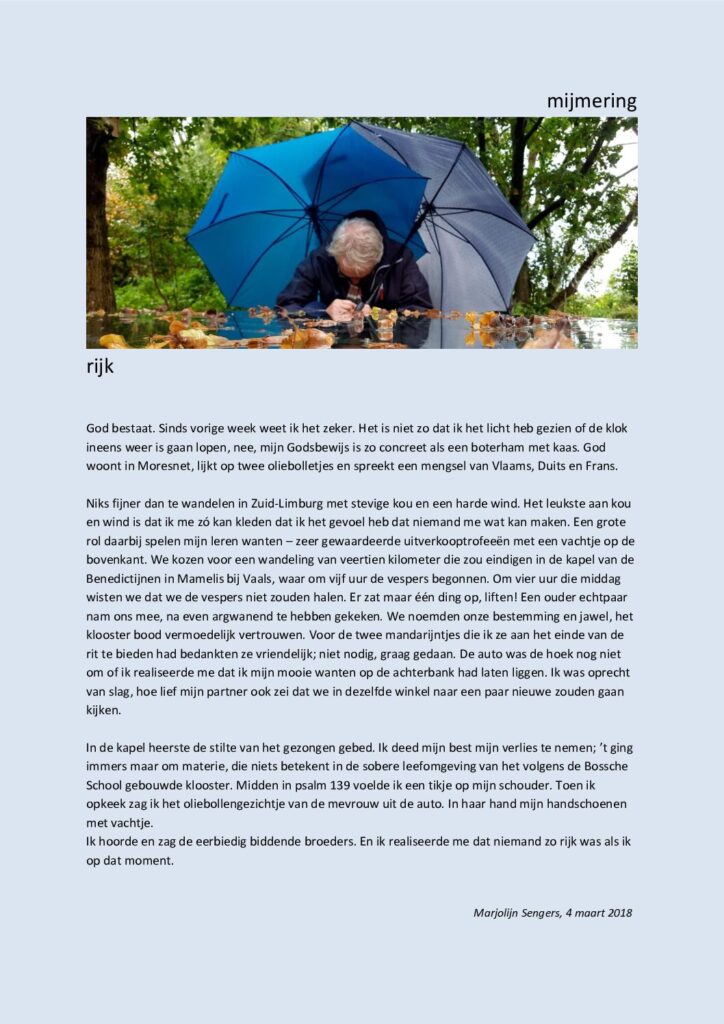 thumbnail of Mijmering 117 Rijk 04-03-2018