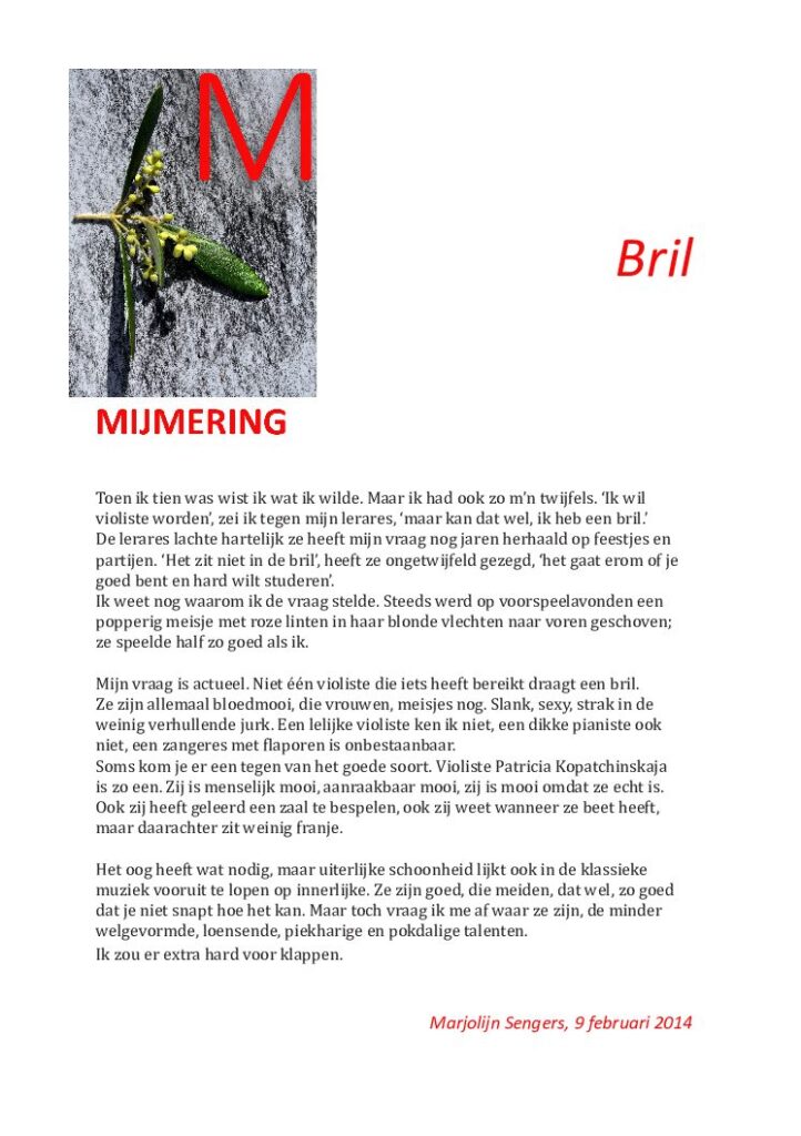 thumbnail of Mijmering 14 Bril 09-02-2014