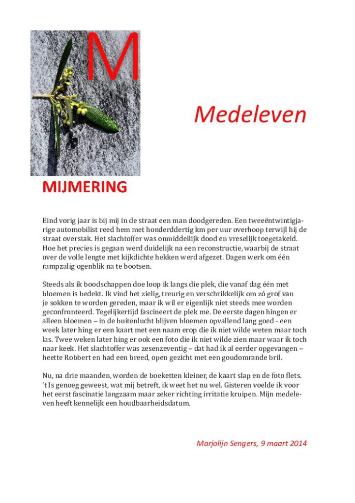 thumbnail of Mijmering 16 Medeleven 09-03-2014