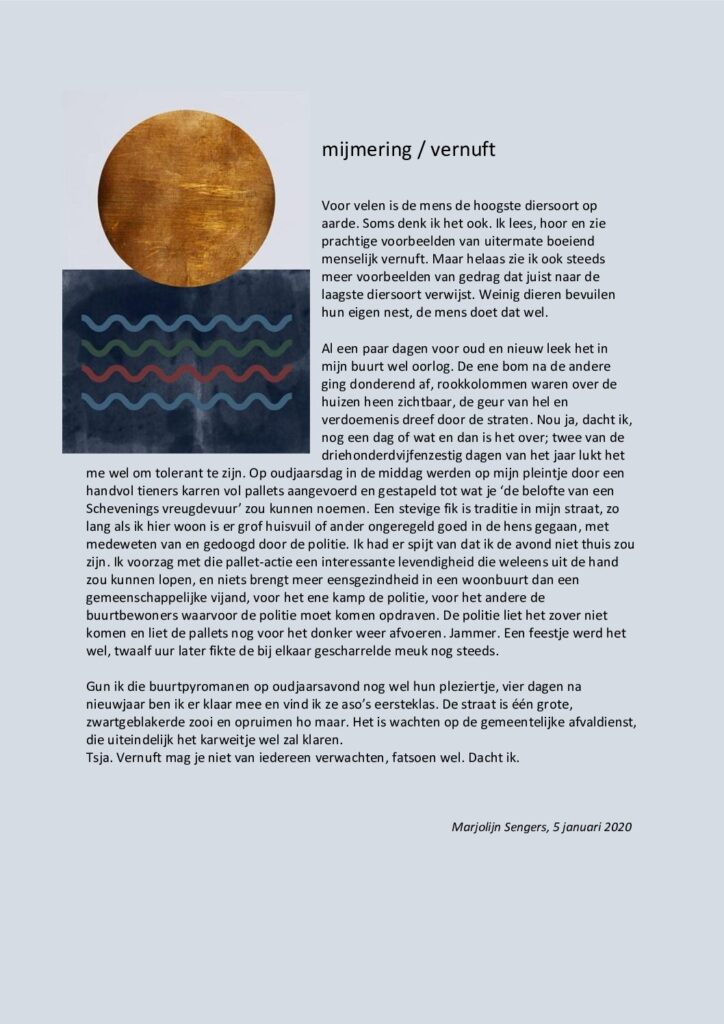 thumbnail of Mijmering 163 Vernuft 05-01-2020