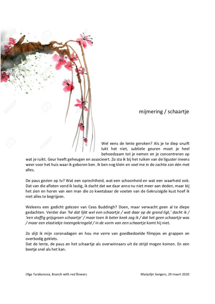 thumbnail of Mijmering 169 Schaartje 29-03-2020