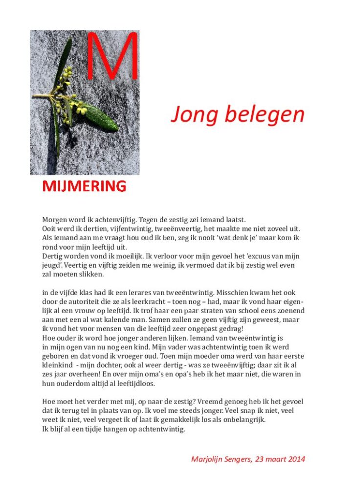 thumbnail of Mijmering 17 Jong belegen 23-03-2014