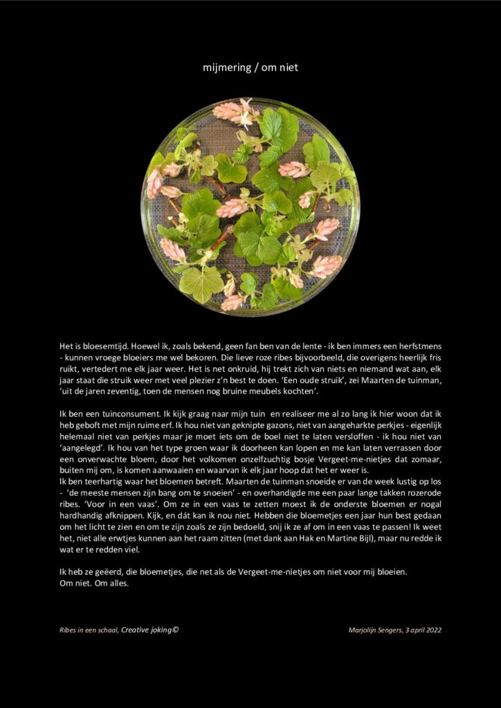 thumbnail of Mijmering 222 Om niet 03-04-2022