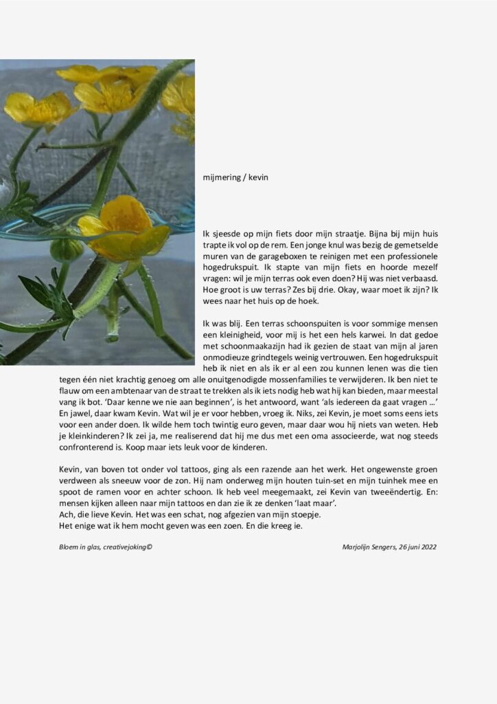 thumbnail of Mijmering 228 Kevin 26-06-2022