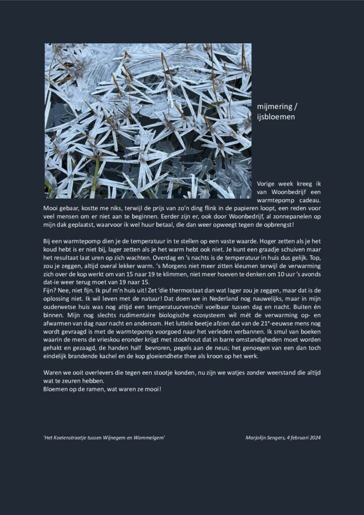 thumbnail of Mijmering 271 IJsbloemen 04-02-2024