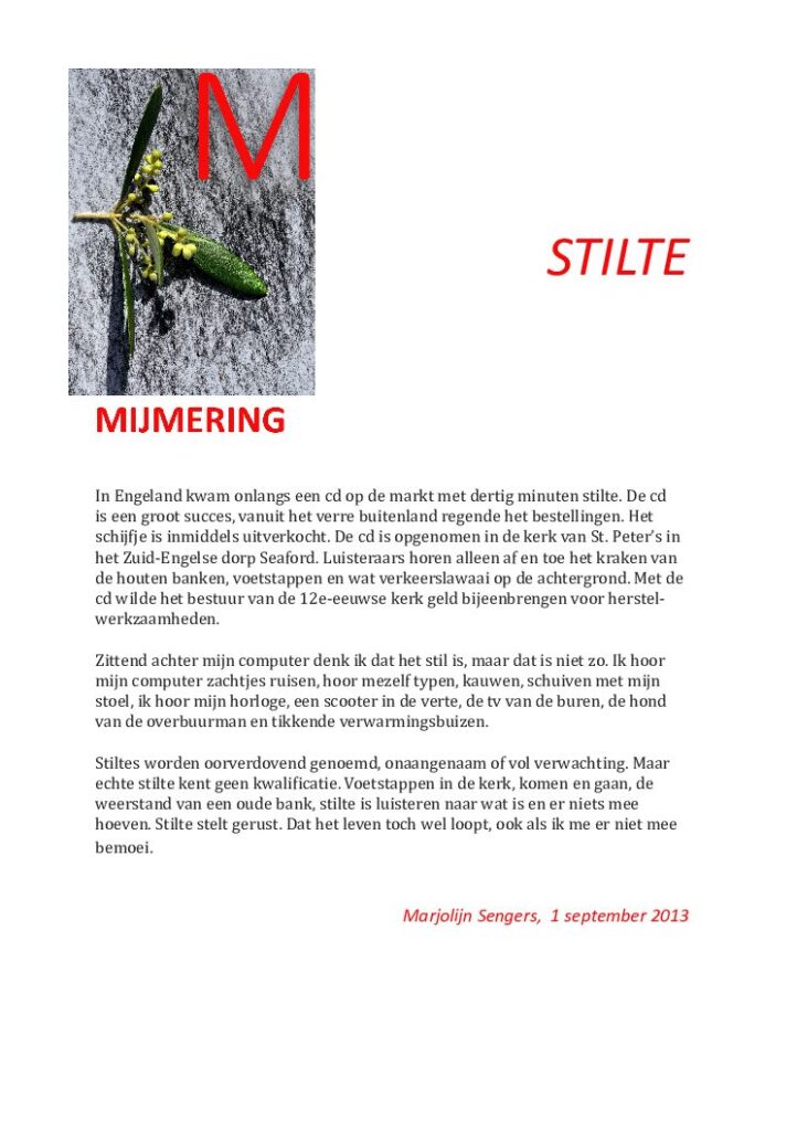 thumbnail of Mijmering 3 Stilte 08-09-2013