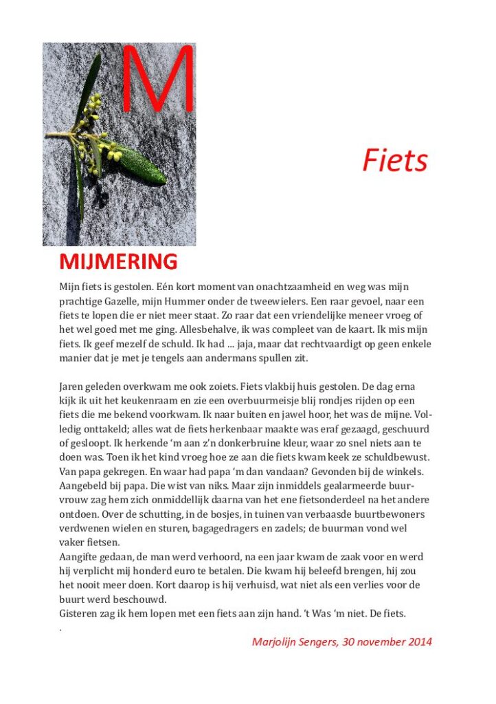 thumbnail of Mijmering 33 Fiets 30-11-2014