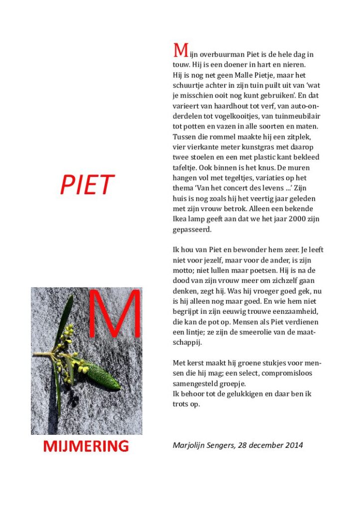 thumbnail of Mijmering 35 Piet 28-12-2014