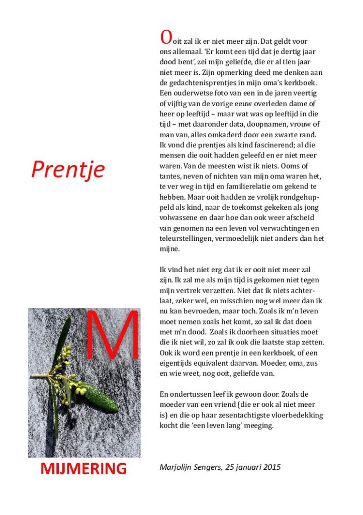 thumbnail of Mijmering 37 Prentje 24-01-2015