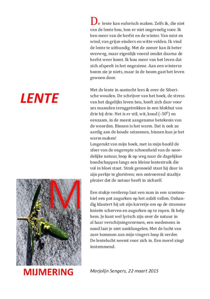 thumbnail of Mijmering 41 Lente 22-03-2015