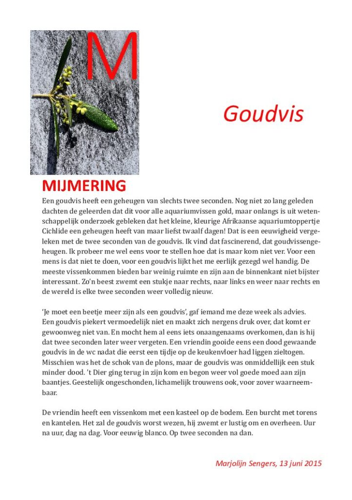 thumbnail of Mijmering 47 Goudvis 14-06-2015