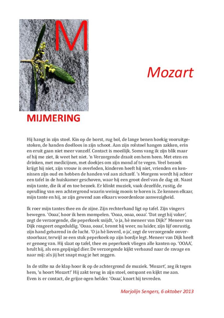 thumbnail of Mijmering 5 Mozart 06-10-2013
