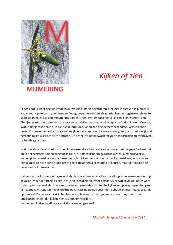 thumbnail of Mijmering 60 Kijken of zien 20-12-2015