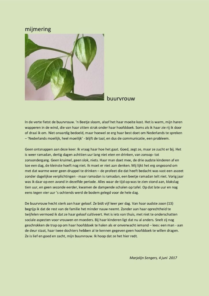 thumbnail of Mijmering 98 Buurvrouw 04-06-2017