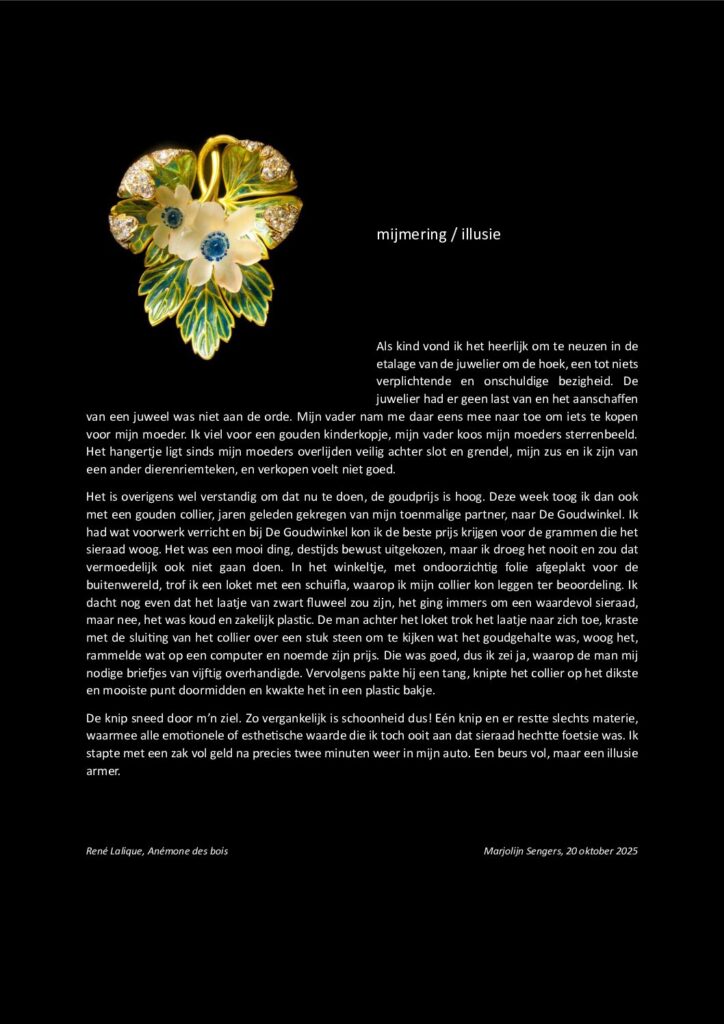 thumbnail of Mijmering 315 Illusie 20-10-2025