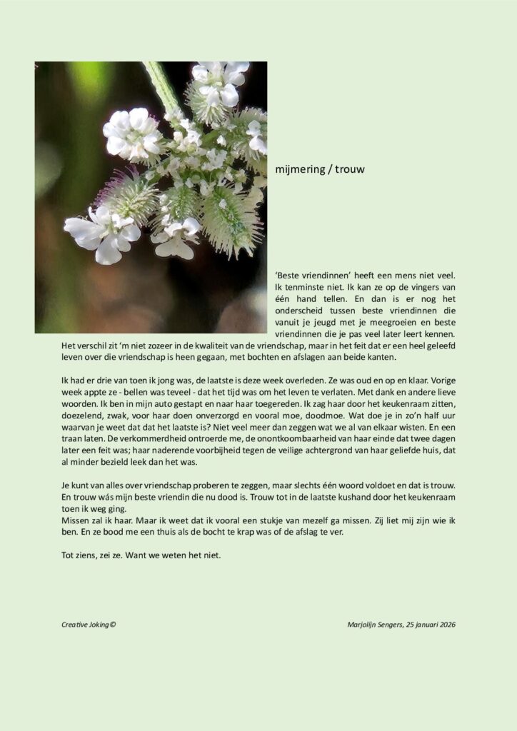 thumbnail of Mijmering 322 Vriendin 25-01-2026